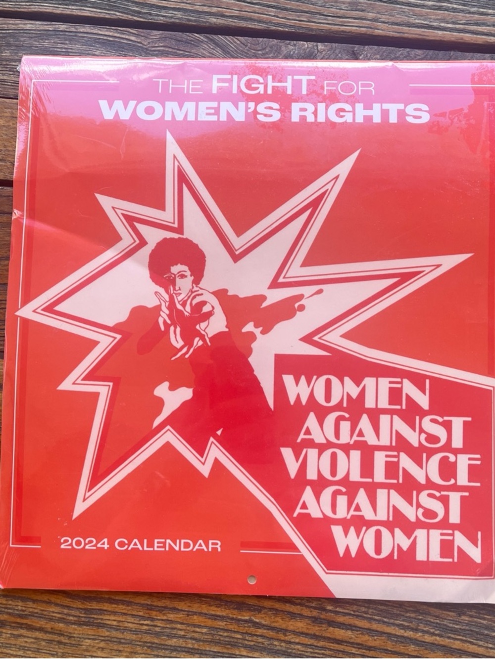 2024 Women Against Violence 2024 Calendar - Red Graphic Cover